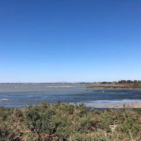 La Bateliere, Entre Mer, Camargue Et Canaux