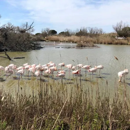 La Batelière, Entre Mer, Camargue Et Canaux Aigues-Mortes