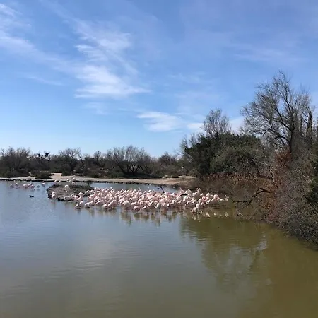 La Batelière, Entre Mer, Camargue Et Canaux * Aigues-Mortes