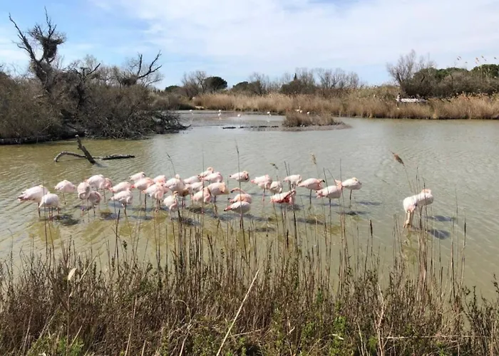 La Bateliere, Entre Mer, Camargue Et Canaux Aigues-Mortes