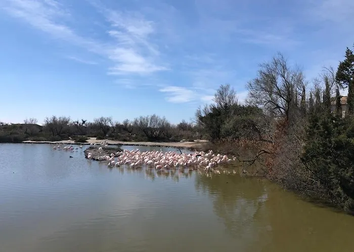 La Bateliere, Entre Mer, Camargue Et Canaux * Aigues-Mortes